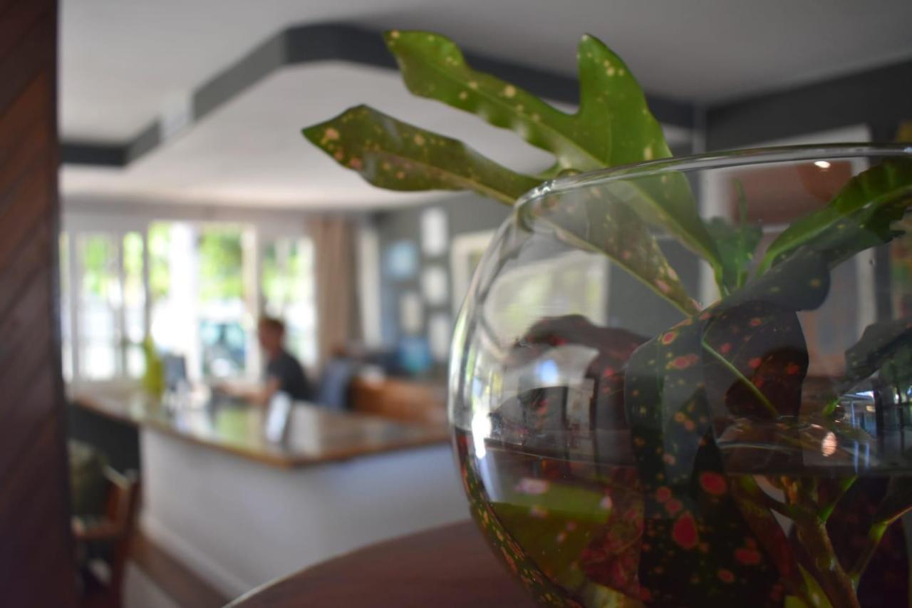 Hibiscus Center Hotel Armacao dos Buzios ภายนอก รูปภาพ