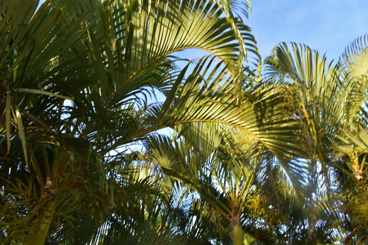Hibiscus Center Hotel Armacao dos Buzios ภายนอก รูปภาพ